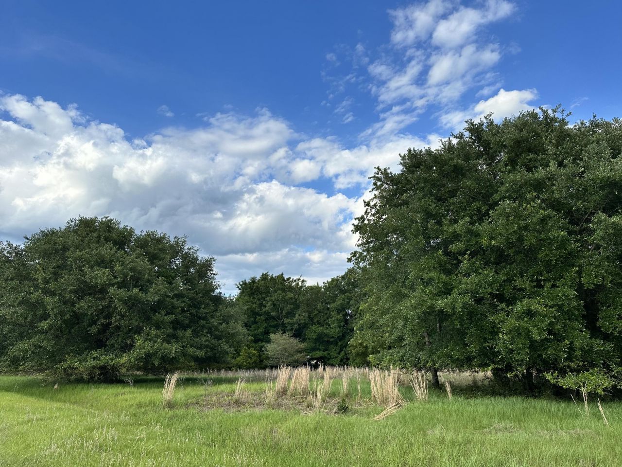 7950 Hopkins Pl Drive Photo 16