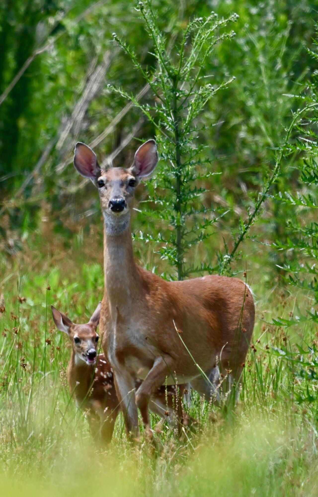 7950 Hopkins Pl Drive Photo 17