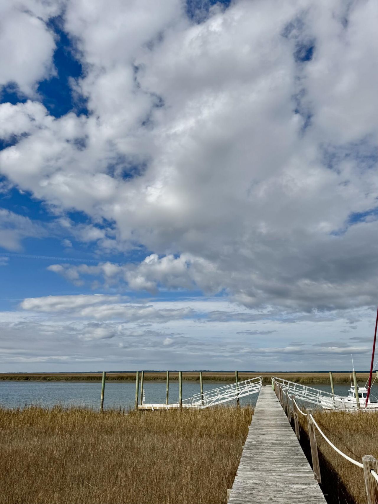 7950 Hopkins Pl Drive Photo 18