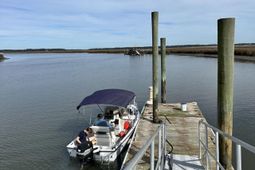 7950 Hopkins Pl Drive photo 4