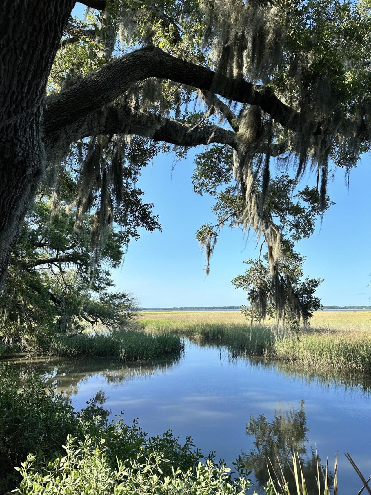 7950 Hopkins Pl Drive Photo 3