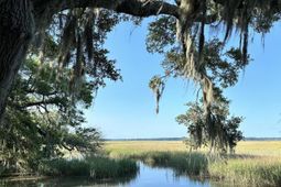 7950 Hopkins Pl Drive photo 4