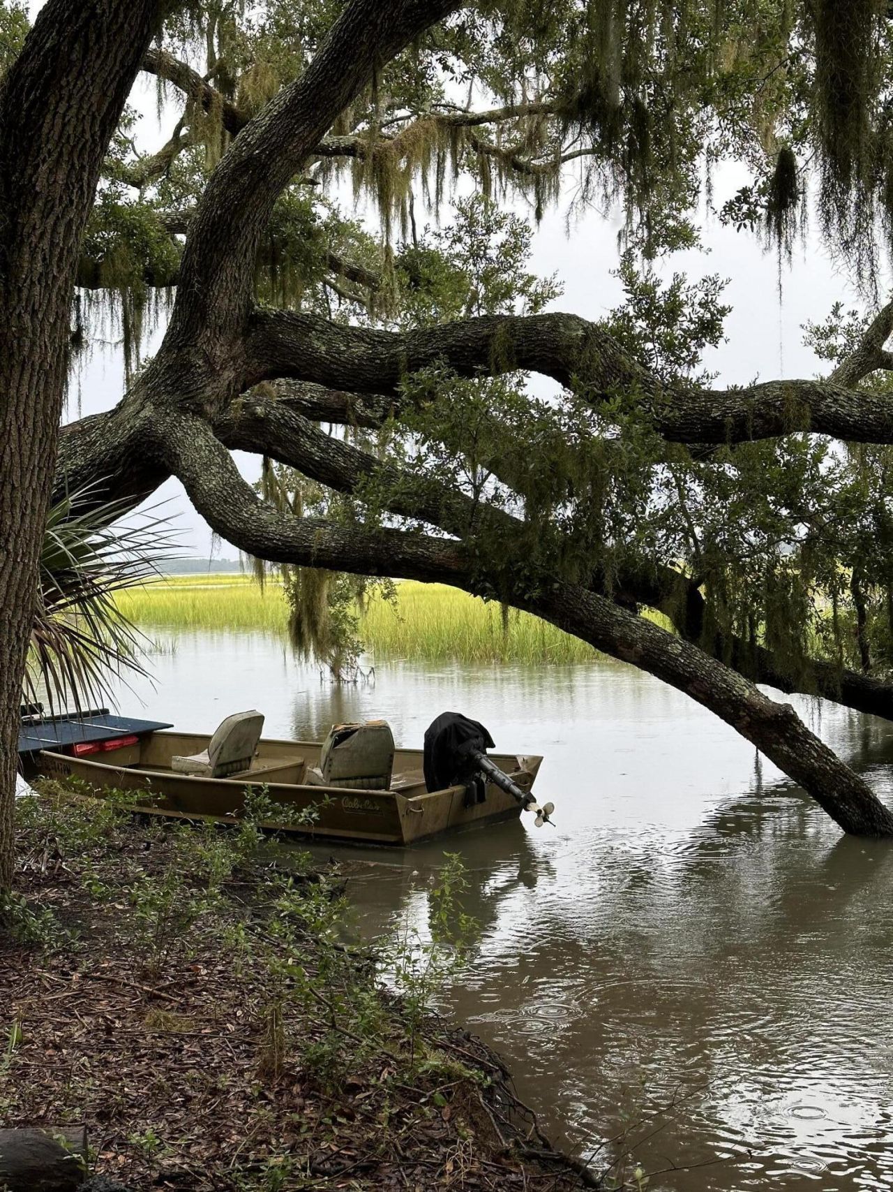 7950 Hopkins Pl Drive Photo 4