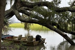 7950 Hopkins Pl Drive photo 4