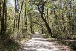 7950 Hopkins Pl Drive photo 4