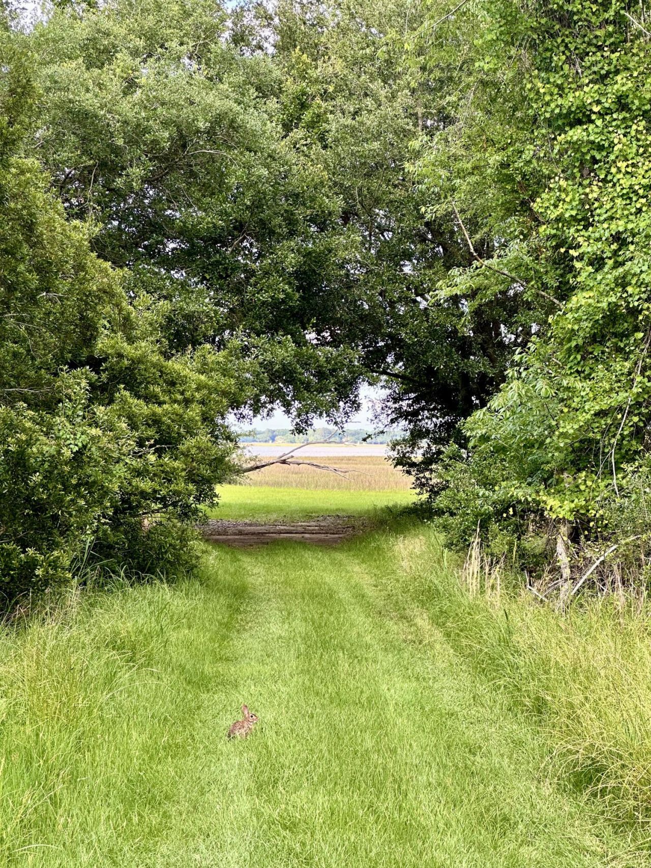 7950 Hopkins Pl Drive Photo 7