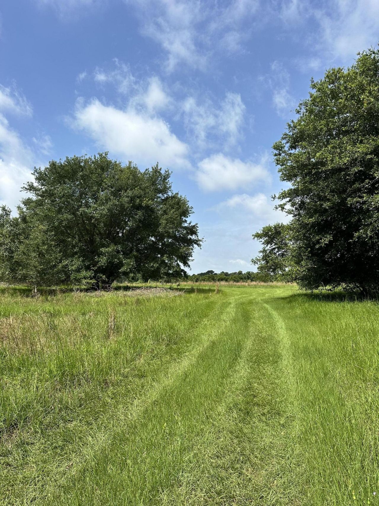 7950 Hopkins Pl Drive Photo 8