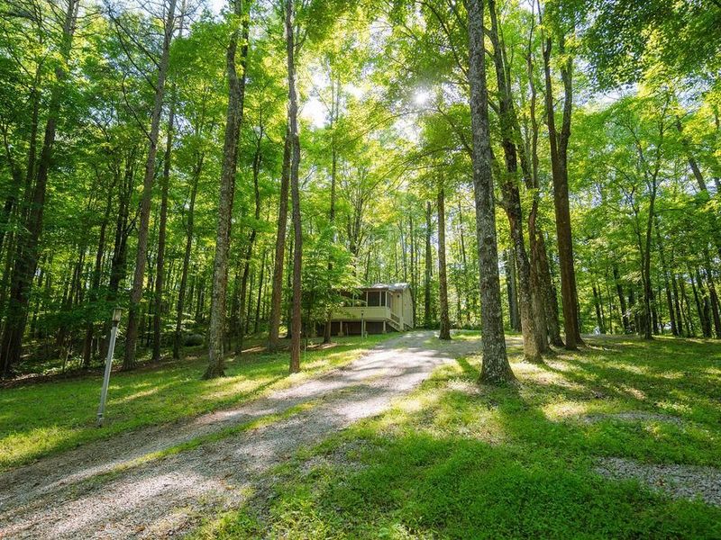 20554 Thompson Ridge Road, Laurelville, OH 43135 Photo 39