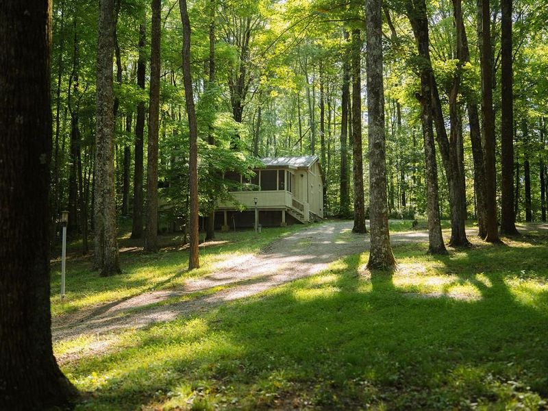 20554 Thompson Ridge Road, Laurelville, OH 43135 Photo 43