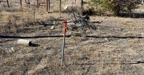 3845 Elm Street, Silver Springs, NV 89429 Photo