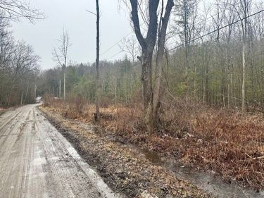 0 Spring Road S, Dansville, NY 14437