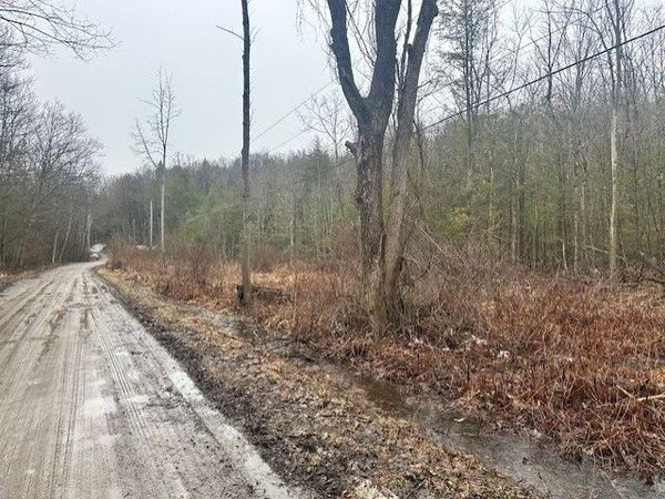 0 Spring Road S, Dansville, NY 14437