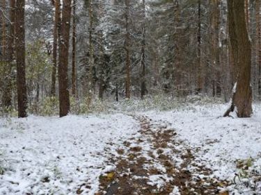 0 Spring Road S, Dansville, NY 14437