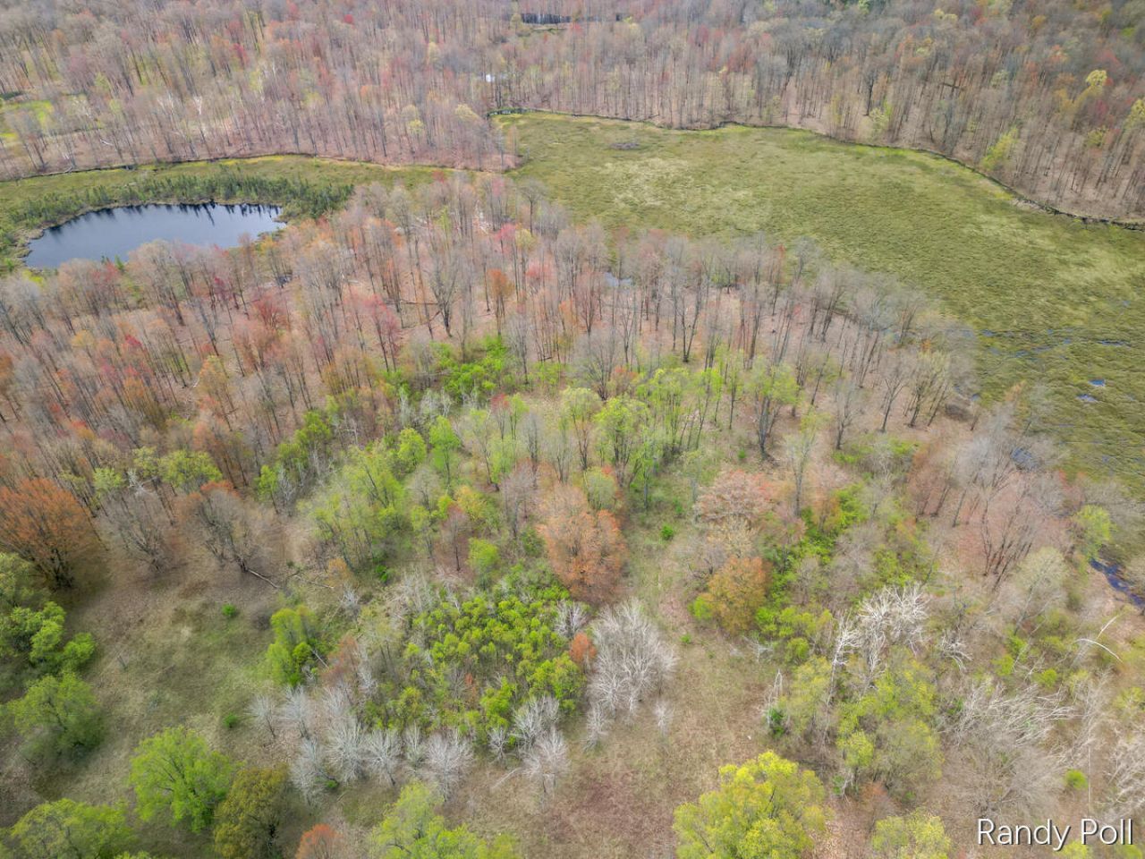 2 Mile Road, Evart, MI 49631 Main Photo
