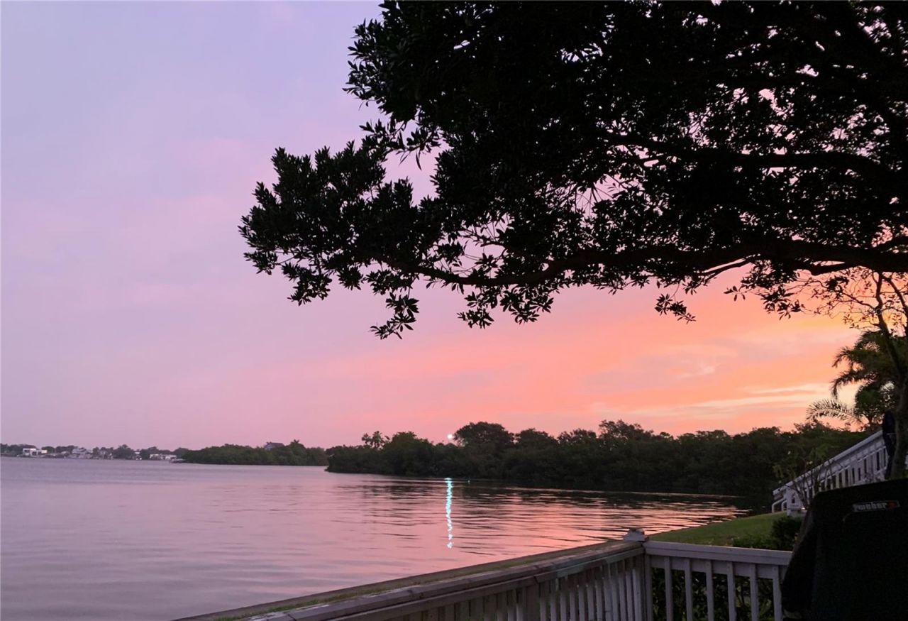 205 Pompano Drive Se, Unit B, Saint Petersburg, FL 33705 Photo