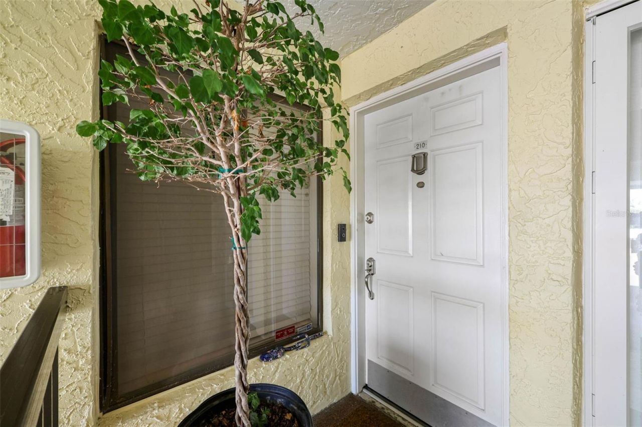 7300 Sunshine Skyway Lane S, Unit 210, Saint Petersburg, FL 33711 Photo