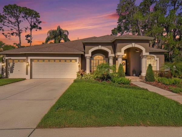 3629 WHISTLING LANE, LAND O LAKES, FL 34639