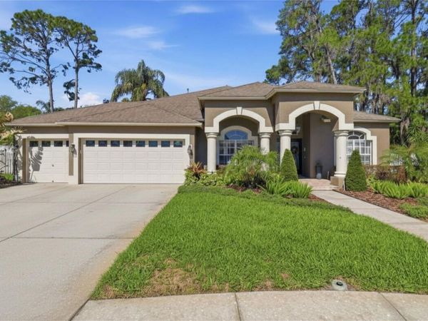 3629 WHISTLING LANE , LAND O LAKES, FL 34639