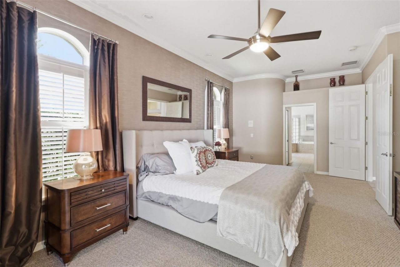 3629 Whistling Lane, Land O Lakes, FL 34639 Photo