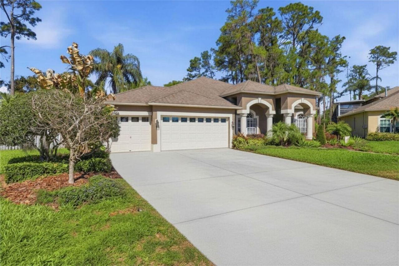 3629 Whistling Lane , Land O Lakes, FL 34639 Photo