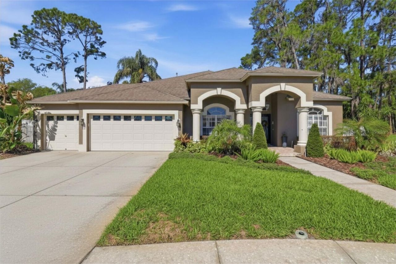 3629 Whistling Lane, Land O Lakes, FL 34639 Photo