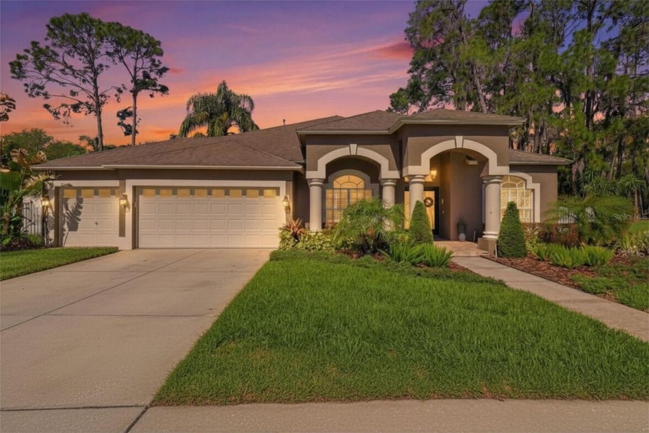 3629 Whistling Lane, Land O Lakes, FL 34639 Photo