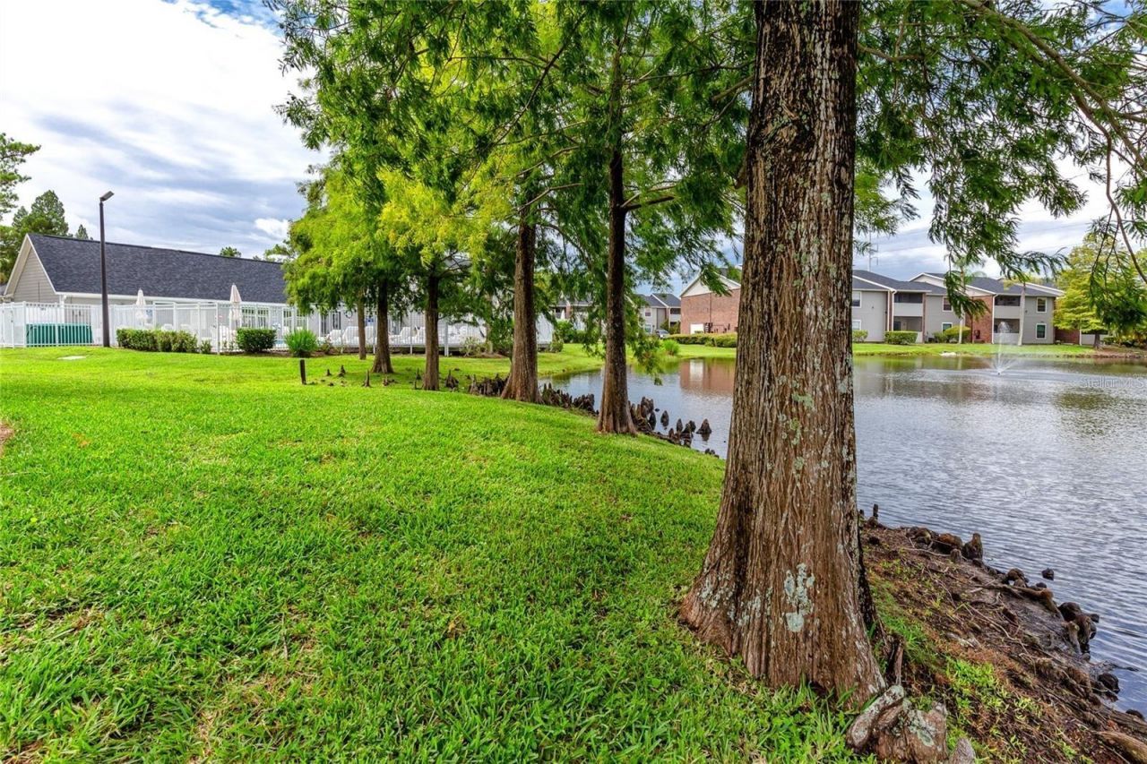 1400 Gandy Boulevard N, Unit 412, Saint Petersburg, FL 33702 Photo