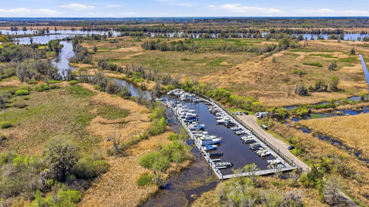 202 Spreading Oak Dr. Photo 67