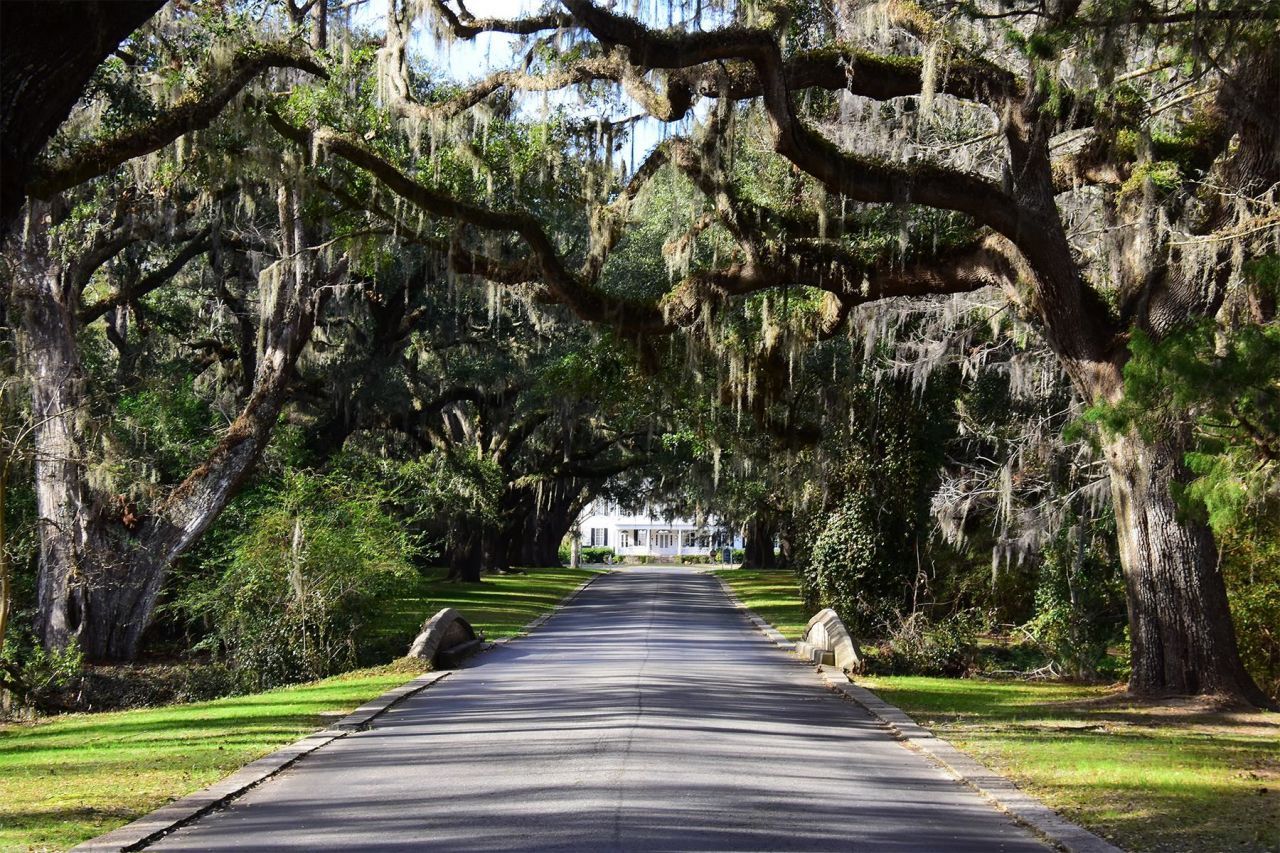 202 Spreading Oak Dr. Photo 79