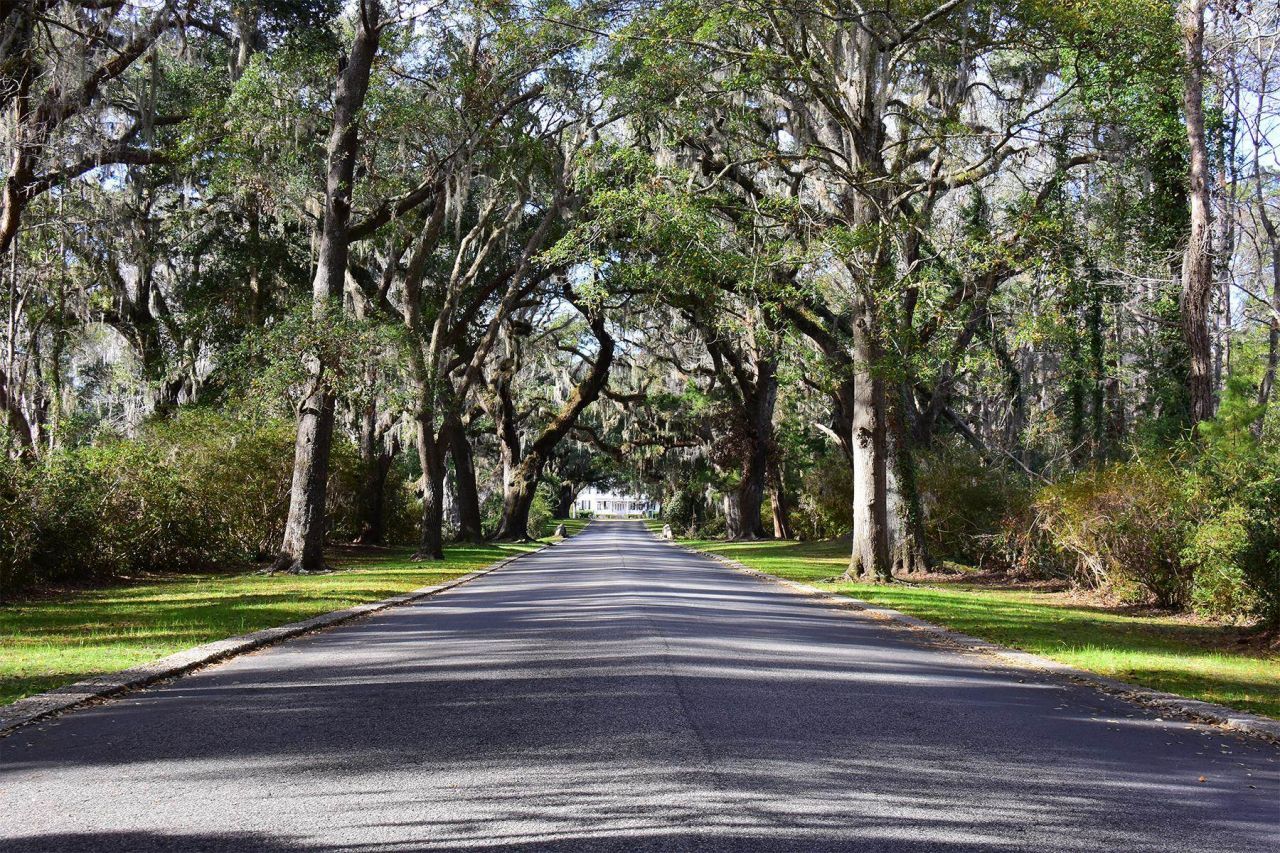 202 Spreading Oak Dr. Photo 80