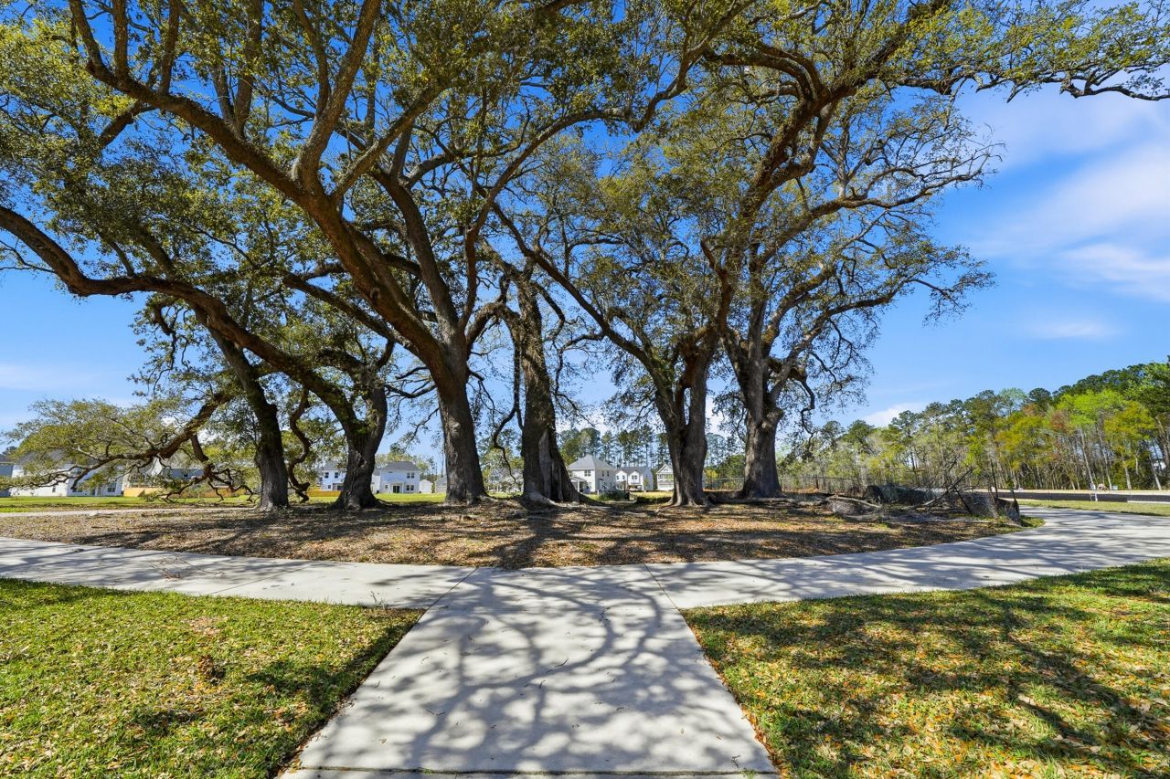 203 O'malley Drive Photo 32