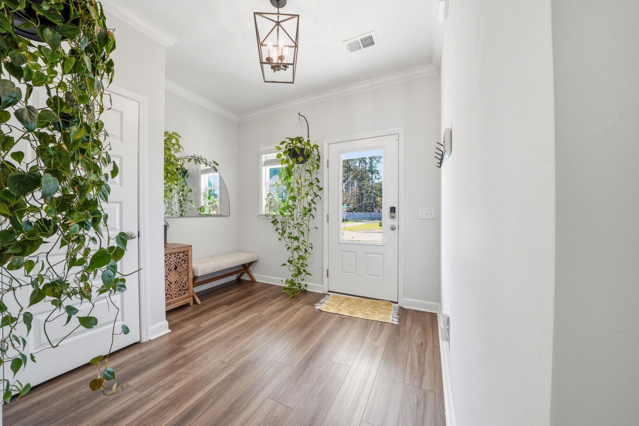 203 O'malley Drive Photo 4