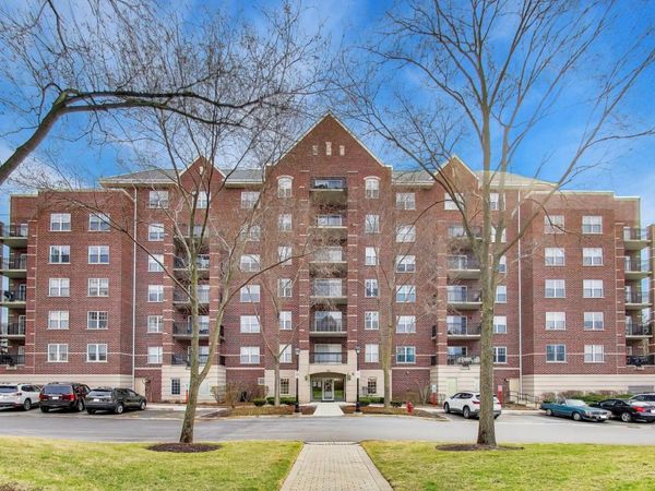 410 W Mahogany Court, Unit 305, Palatine, IL 60067