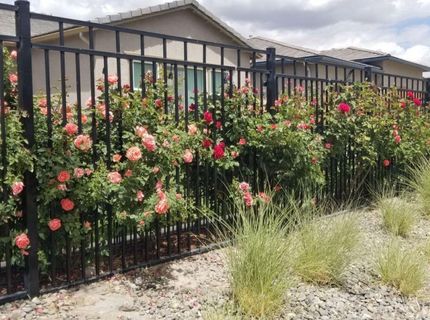 9728 Silverspar Street, Reno, NV 89521 Photo