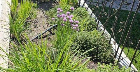 9728 Silverspar Street, Reno, NV 89521 Photo