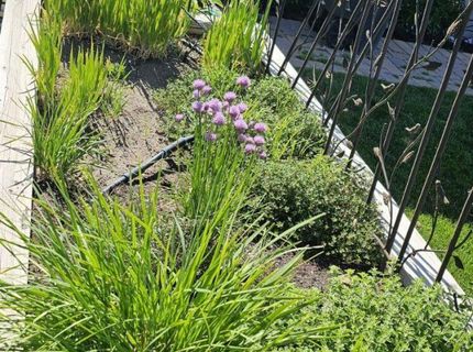 9728 Silverspar Street, Reno, NV 89521 Photo