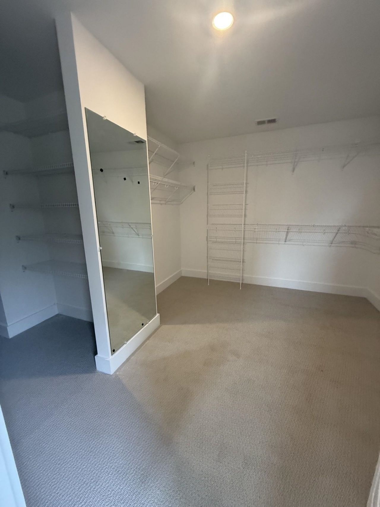 6293 Zoe Way Photo 6