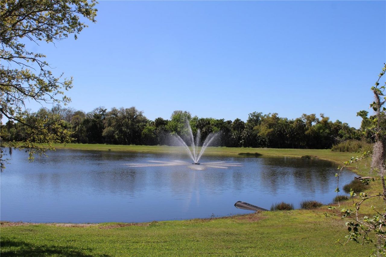 7803 33rd Street E, Sarasota, FL 34243 Photo