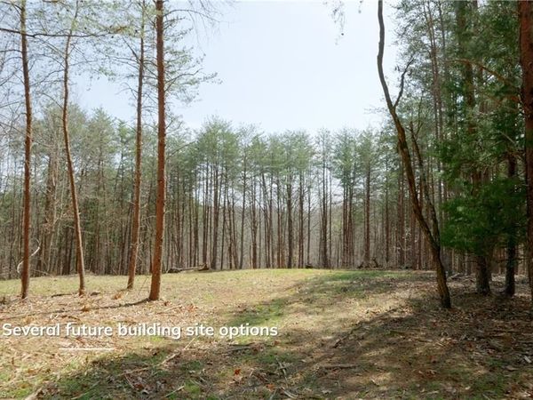 1583 Seven Island Road , Danbury, NC 27016