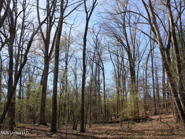 7 Barton Desoto Road, Olive Branch, MS 38654