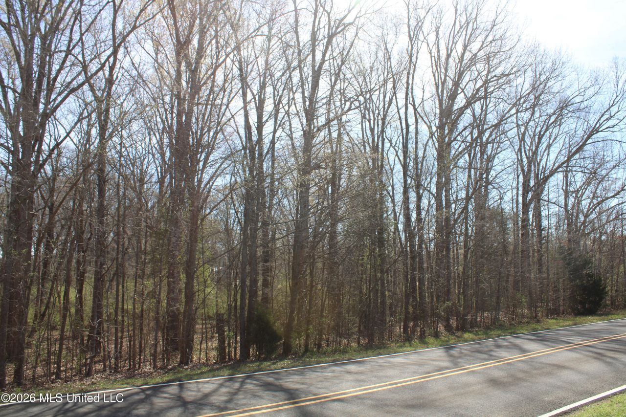 8 Barton Desoto Road, Olive Branch, MS 38654 Main Photo