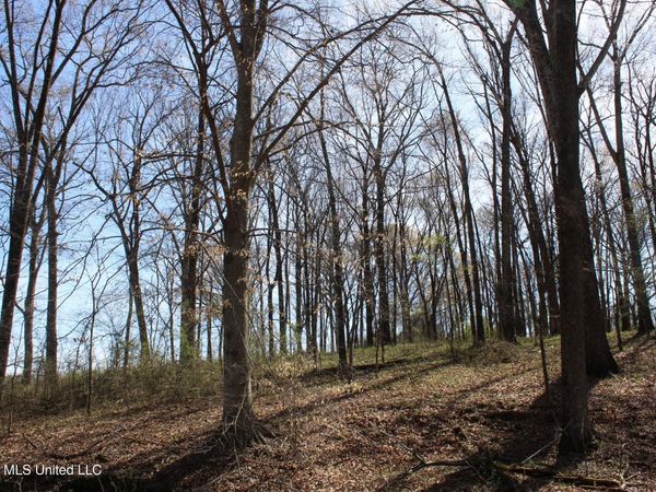 9 Barton Desoto Road, Olive Branch, MS 38654