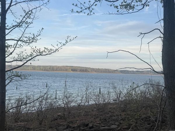 525 E Shore Drive, Drasco, AR 72530