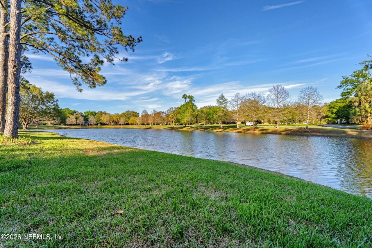 10042 Lake Lamar Court, Jacksonville, FL 32256 Photo