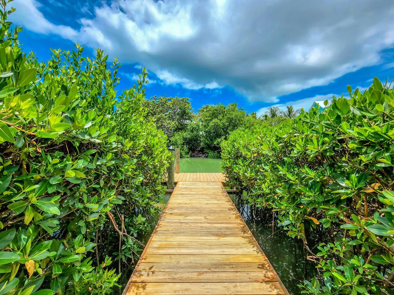 523 Avenida Primiceria, Marathon, FL 33050 Photo