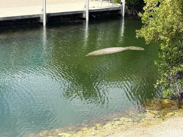 538 Powell Avenue, Little Torch Key, FL 33042 Photo