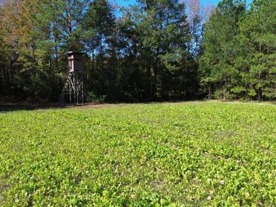 0 U.S. 521, Salters, SC 29590