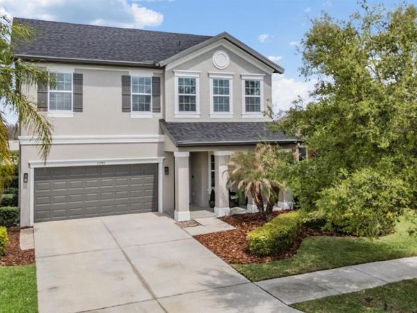 32383 NATURAL BRIDGE ROAD, WESLEY CHAPEL, FL 33543