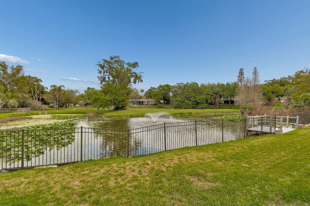 1611 Sunnyhills Drive, Brandon, FL 33510 Photo