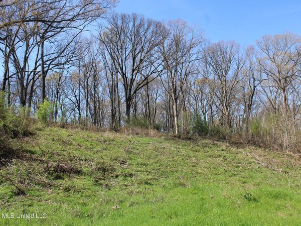 10 Barton Desoto Road, Olive Branch, MS 38654